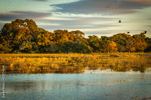 sunset over the wetlands of pantanal, brazil