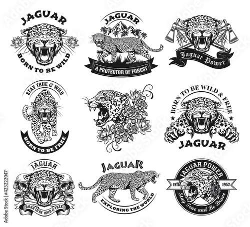 Monochrome labels with jaguar vector illustration set. Retro tattoo design with wild leopard. Wildlife and big cats concept can be used for retro template