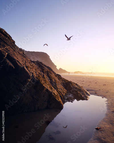 Dzika piaszczysta plaża o zachodzie słońca