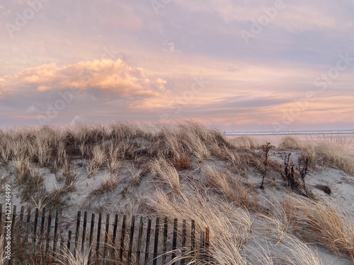 Wildwood Crest Dunes 