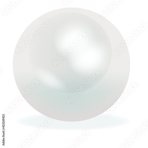 Realistic natural white pearl on background.Oyster pearl for accessories.