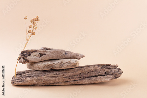 Eco-friendly natural monochrome composition on neutral beige background. Balancing pyramid of three driftwood and flax plant. Concept of harmony and balance. Podium for product presentation.