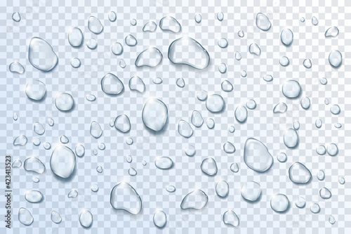 Water drops set on transparent background. Liquid droplets of rain and dew vector illustration. Wet clear aqua in light. Abstract pure fresh nature elements, realistic macro design