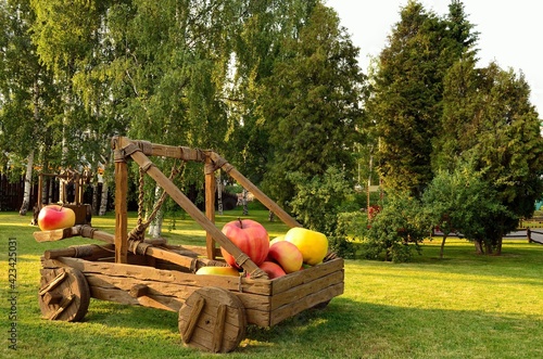 Apple catapult in the park.