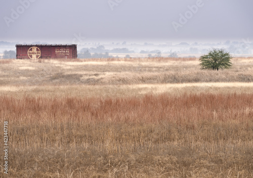 Long abandoned rusting railroad boxcar set apart in wide open field populated with one distant tree