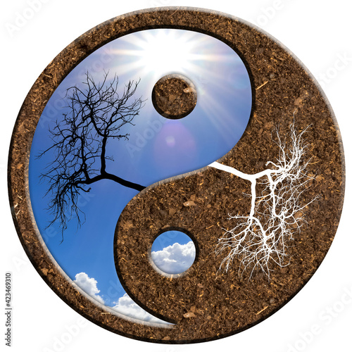 yin yang symbole, terre, ciel, arbre et ses racines