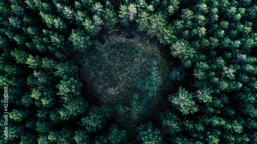 Precioso paisaje picado en el que se ve un circulo de arboles.