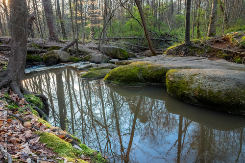 McAlpine Creek Tributary #1, Big Rocks Nature Preserve, Mecklenburg County, NC 