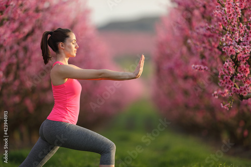 Woman practicing tai chi exercise in a field at sunset