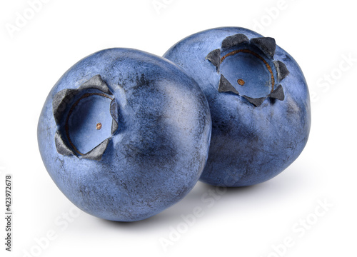 Blueberry isolated. Two blueberries on white. Fresh blueberry side view. With clipping path.