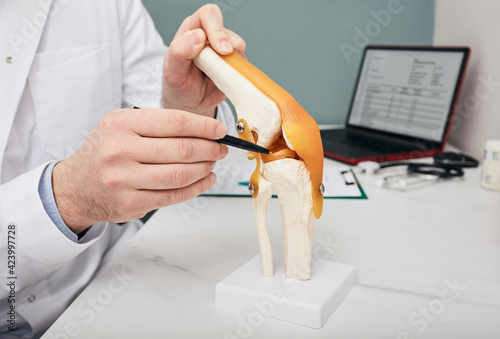 Traumatologist pointing pen to meniscus in a knee-joint anatomical teaching model, close-up. Human torn meniscus treatment concept