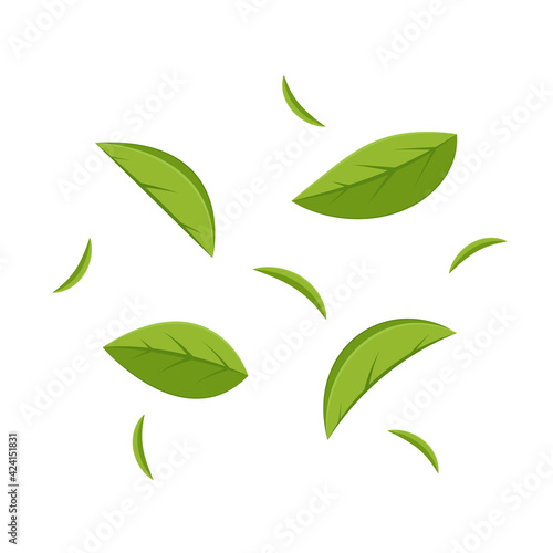 Green tea on white background. Matcha vector.