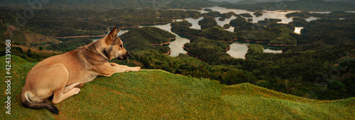 Amazing view of Ta Dung lake. Panorama landscape