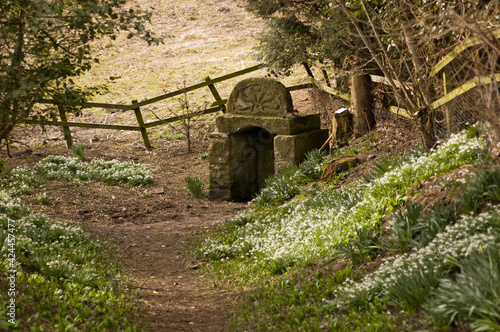 Ancient pagan Well, Newbury