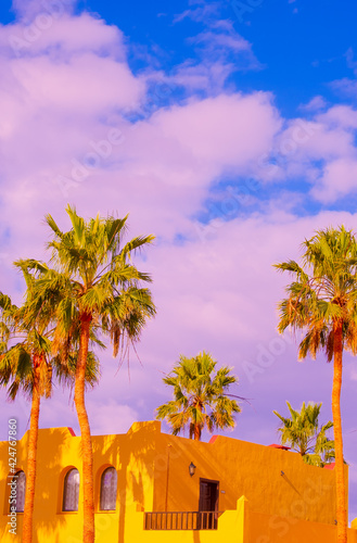 Fashion tropical minimal location. Yellow Hotel, Palm. Summer blue sky. Canary islands. Travel aesthetics wallpaper