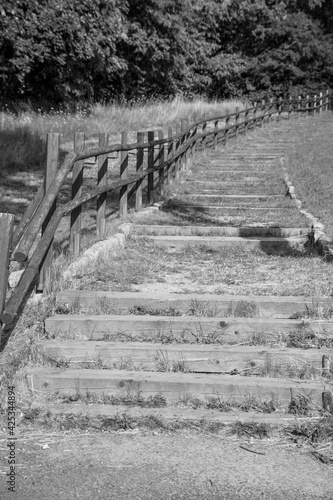 schody zrobione z drewnianych belek prowadzące na górę wzdłuż drzew, drewniana poręcz