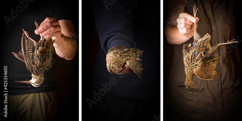 Man holding woodcock in hand. Wildfowl hunting.