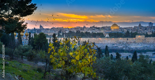 Beautiful autumn sunset over the Old City Jerusalem, with Dome of the Rock, Golden Gate and birds flying over the Russian Orthodox church of Mary Magdalene seen over fall tree on Mount of Olives