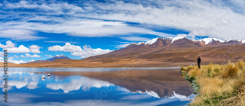 The traveler takes pictures of Pink flamingo in the lake. Lake Hedionda in Bolivia. Panoramic view.