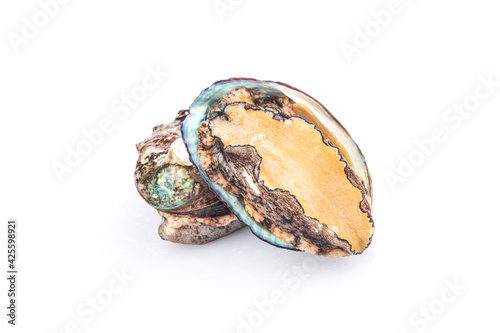 Raw abalones on the white background