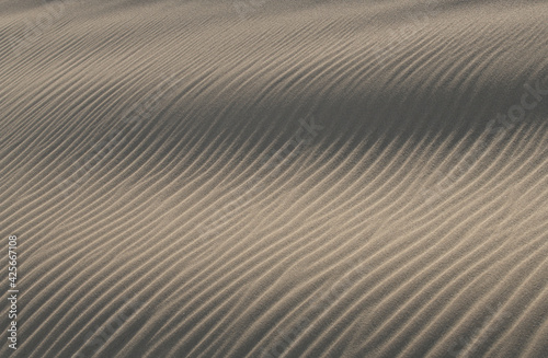 鳥取砂丘にできた風紋 