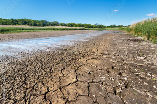 Dry riverbed with cracked ground of bottom, water leftovers in puddles and green plants on sides in summer heat weather