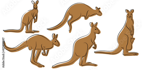 Känguru Kangaroo Kontur Zeichnungen Vektor Grafik