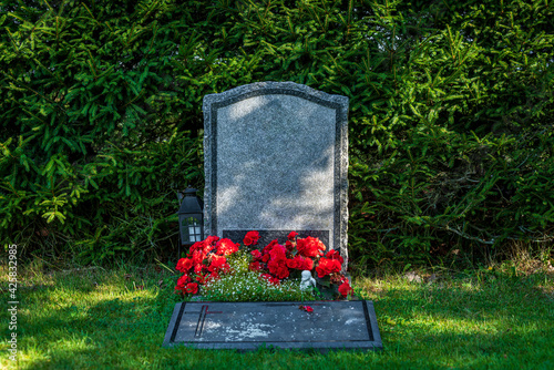 Single gravestone without name, decorated with red flowers