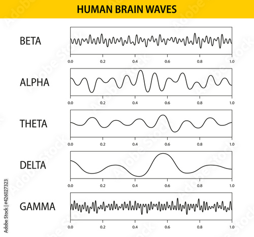 Beta, alpha, theta, delta, gamma brain waves. Set of brain waves oscillation. Human rhythm, types, amplitude of mind waves. Vector illustration