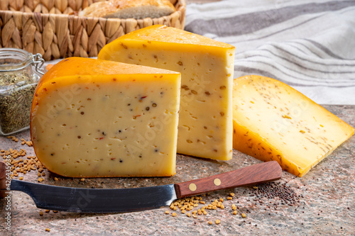 Cheese collection, pieces of hard yellow Dutch gouda cheese with dried caraway, mustard, cumin, fenugreek, pepper seeds