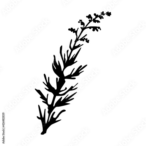 Common mugwort in silhouette isolated on white background. Hand drawn vector flat illustration. Design for card, pattern, textile