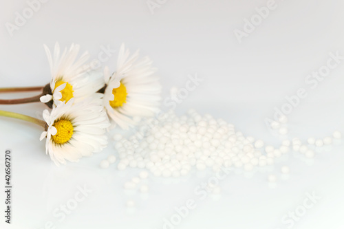 Marguerite, daisy flowers. Alternative medicine concept. Homeopathic pills, globules scattered. made from inert substance sugar, lactose on white background