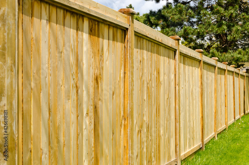 wooden fence with green lawn and trees