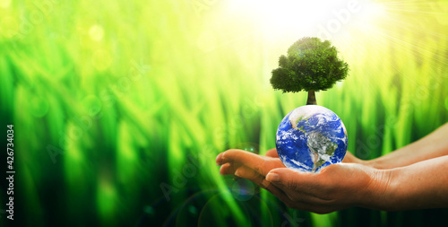 Earth planet with green tree in woman hands and copy space. Save and protection Earth planet. Concept of the Environment World Earth Day: Elements of this image are furnished by NASA 