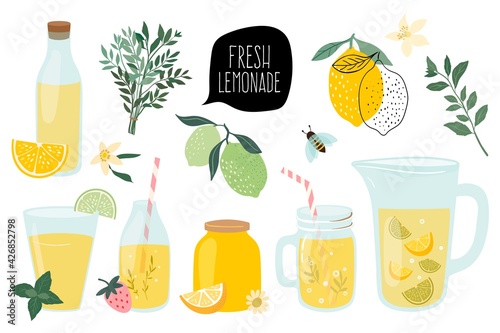 Summer fresh lemonade collection with different elements isolated