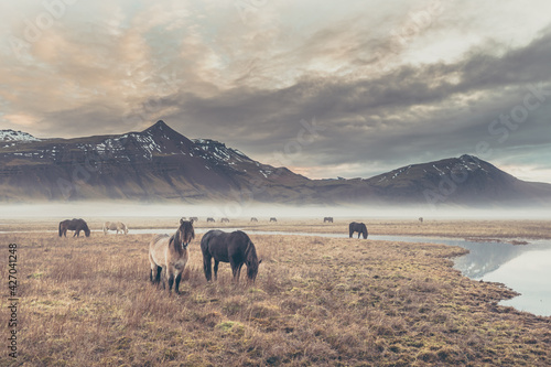 Iceland 