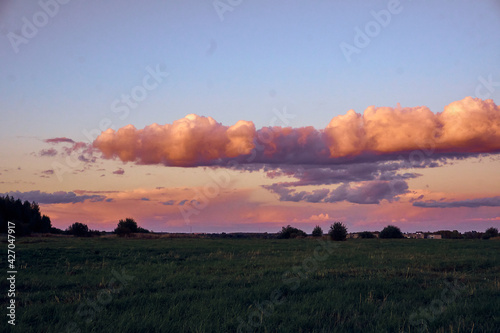 Green grassy field at sunset. A large heaped sky with beautiful blue-pink shades. Clear blue sky at sunset. Trees are visible on the horizon.