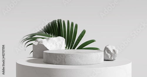 Product display podium with nature leaves on white background. 3D rendering 