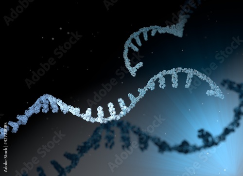 mRNA 5'Cap Structure