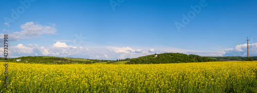 Spring rapeseed yellow blooming fields view, blue sky with clouds in sunlight panorama. Pyatnychany tower (defense structure, 15th century) on far hill slope.