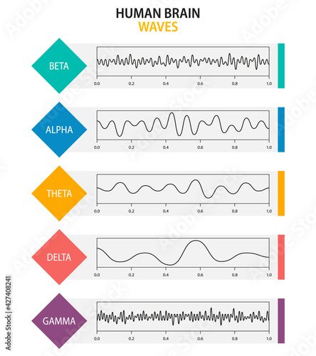 Set of brain waves oscillation. Beta, alpha, theta, delta, gamma brain waves. Human rhythm, types, amplitude of mind waves. Vector illustration