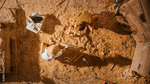 Top-Down View: Two Great Paleontologists Cleaning Newly Discovered Dinosaur Skeleton. Archeologists Discover Fossil Remains of New Species. Archeological Excavation Digging Site.