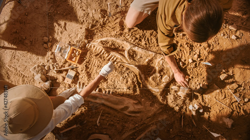 Top-Down View: Two Great Paleontologists Cleaning Newly Discovered Dinosaur Skeleton. Archeologists Discover Fossil Remains of New Species. Archeological Excavation Digging Site.