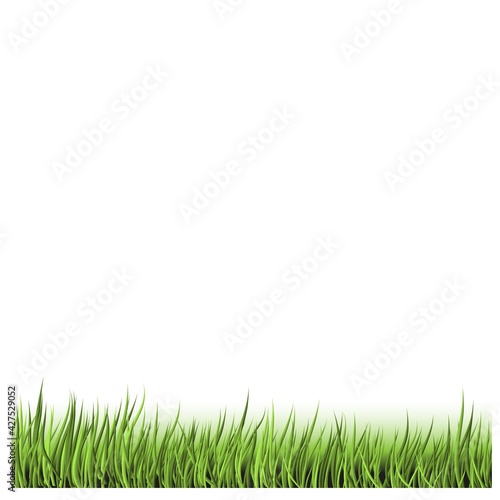 Trendy abstract illustration with green grass Beautiful green grass, great design for any purposes.