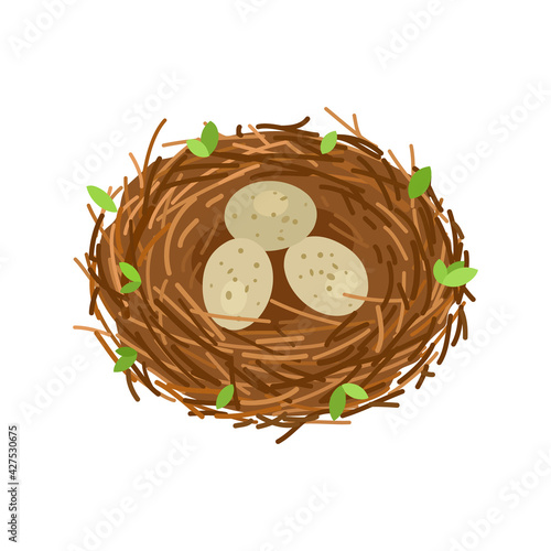 Birds nest with 3 eggs, branches and leaves. Vector illustration isolated on white background.