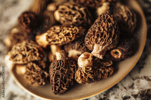 A close up shot of raw organic morel mushrooms. Concept of gourmet food and French cuisine