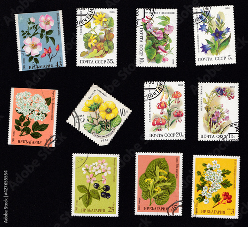 Set of old stamps from the times of the . Isolated stamp on black background. Botanical postage stamps. Flowers, plants, botany, nature, tree leaves