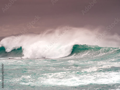 Fale, Fuerteventura 