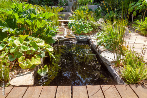 Aménagement d'une zone humide dans un jardin - bassin avec des plantes vertes entouré d'une allée