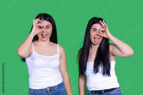 Waist up shot of pleased amused proud cool young two sisters women gesturing good job or well done, makes okay gesture, symbol of approval and like, white t-shirts, stands indoor on green background